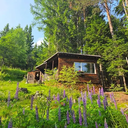 Almhuette - Haus Im Wald Dom wakacyjny