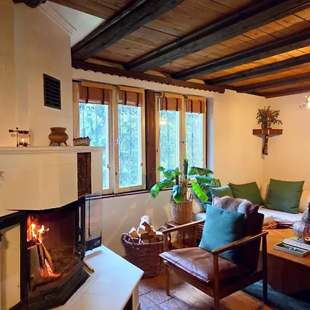 Almhuette - Haus Im Wald
